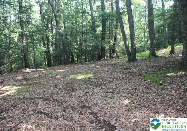 Photo 4 of Sale Pending at 12 Turkey Ridge Dr, Kunkletown, PA 18058 | MLS# 781036 | Listing updated on 2026-09-04
