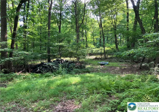Photo 4 of Land for sale at Banko Ln, Hellertown, PA 18055 | MLS# 782468 | Listing updated on 2026-09-27
