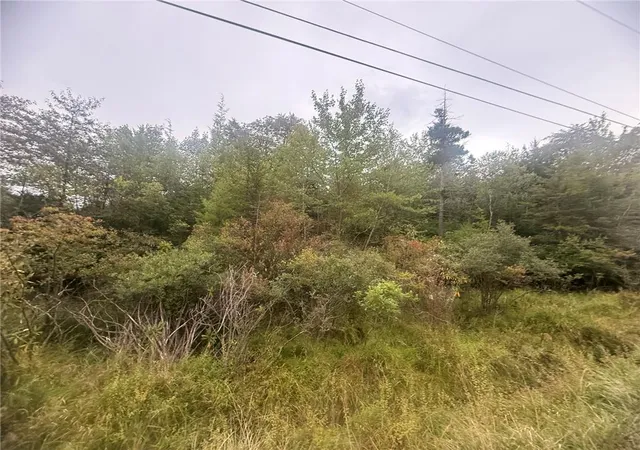 Photo 3 of Land for sale at Lazarus Cir, Albrightsville, PA 18210 | MLS# 783800 | Listing updated on 2026-09-23