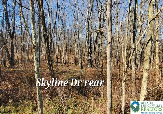 Land for sale at 140 Skyline Dr, Lehman Twp, PA 18324 | MLS# 783825