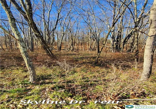 Photo 3 of Land for sale at 140 Skyline Dr, Lehman Twp, PA 18324 | MLS# 783825 | Listing updated on 2026-09-18