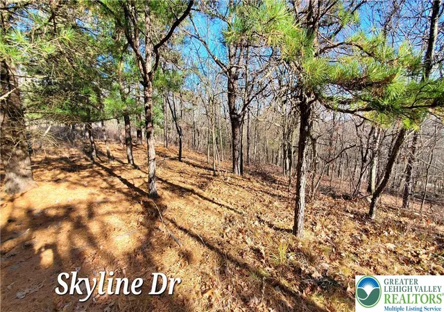 Photo 3 of Land for sale at 140 Skyline Dr, Lehman Twp, PA 18324 | MLS# 783825 | Listing updated on 2026-09-18