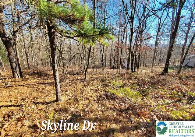 Photo 4 of Land for sale at 140 Skyline Dr, Lehman Twp, PA 18324 | MLS# 783825 | Listing updated on 2026-09-18