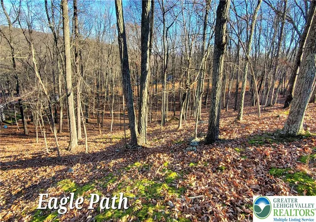 Photo 1 of Land for sale at 193 Eagle Path, Lehman Twp, PA 18324 | MLS# 783834 | Listing updated on 2026-09-02