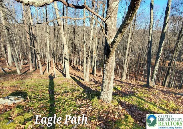 Photo 2 of Land for sale at 193 Eagle Path, Lehman Twp, PA 18324 | MLS# 783834 | Listing updated on 2026-09-02
