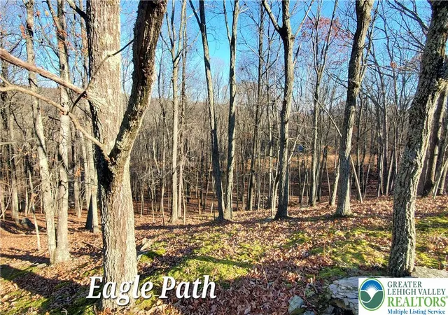 Photo 3 of Land for sale at 193 Eagle Path, Lehman Twp, PA 18324 | MLS# 783834 | Listing updated on 2026-09-02