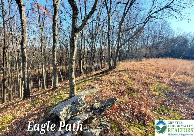 Photo 3 of Land for sale at 193 Eagle Path, Lehman Twp, PA 18324 | MLS# 783834 | Listing updated on 2026-09-02