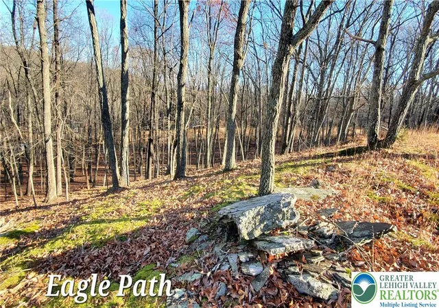 Photo 4 of Land for sale at 193 Eagle Path, Lehman Twp, PA 18324 | MLS# 783834 | Listing updated on 2026-09-02