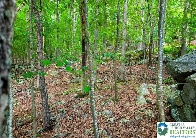 Photo 4 of Land for sale at Decker Rd #690, Bushkill, PA 18324 | MLS# 783612 | Listing updated on 2026-09-05