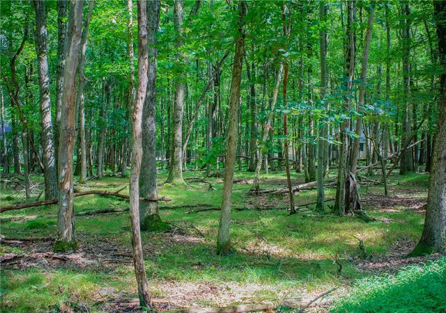 Photo 1 of Land for sale at Yana Ln, Albrightsville, PA 18210 | MLS# 783613 | Listing updated on 2026-09-05