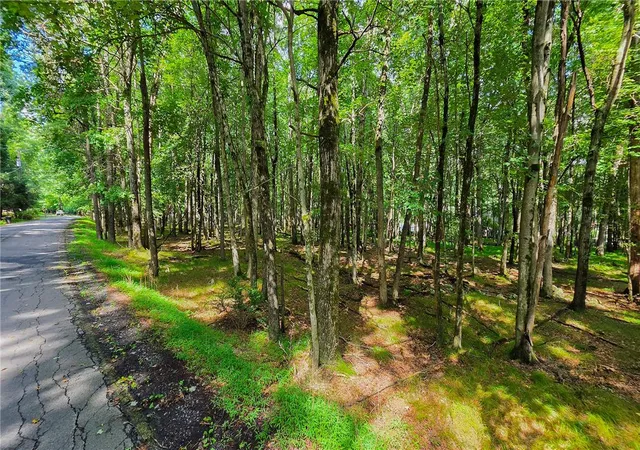 Photo 3 of Land for sale at Yana Ln, Albrightsville, PA 18210 | MLS# 783613 | Listing updated on 2026-09-05
