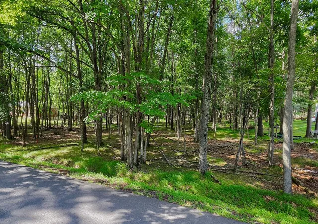 Photo 3 of Land for sale at Sycamore Cir, Albrightsville, PA 18210 | MLS# 783614 | Listing updated on 2026-09-05