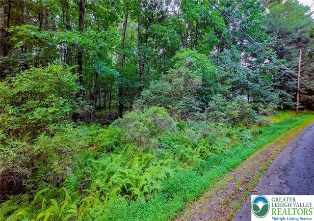 Photo 4 of Land for sale at Clb House Dr #685, Hawley, PA 18428 | MLS# 783615 | Listing updated on 2026-09-05