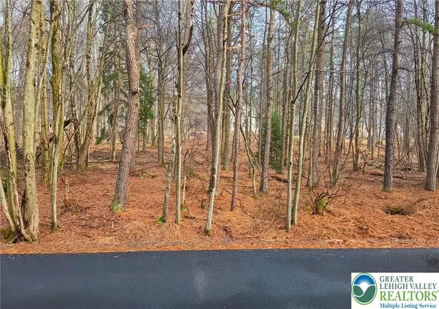 Photo 1 of Land for sale at Crescent Way #207, Albrightsville, PA 18210 | MLS# 784043 | Listing updated on 2026-09-05