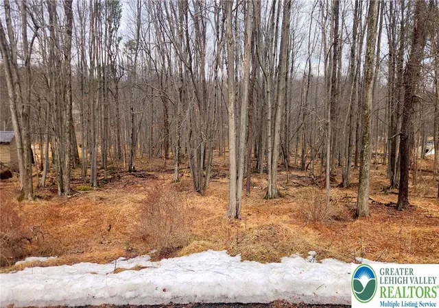 Photo 1 of Land for sale at Brk Run Ln #131, Albrightsville, PA 18210 | MLS# 784045 | Listing updated on 2026-09-05