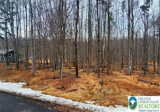 Photo 2 of Land for sale at Brk Run Ln #131, Albrightsville, PA 18210 | MLS# 784045 | Listing updated on 2026-09-05