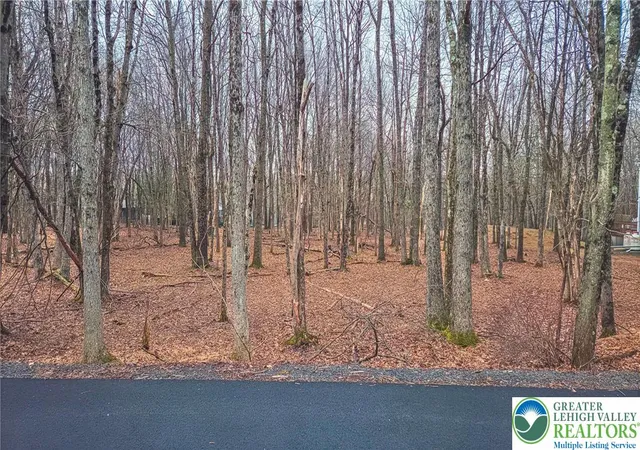 Photo 2 of Land for sale at Crescent Way #206, Albrightsville, PA 18210 | MLS# 784044 | Listing updated on 2026-09-05