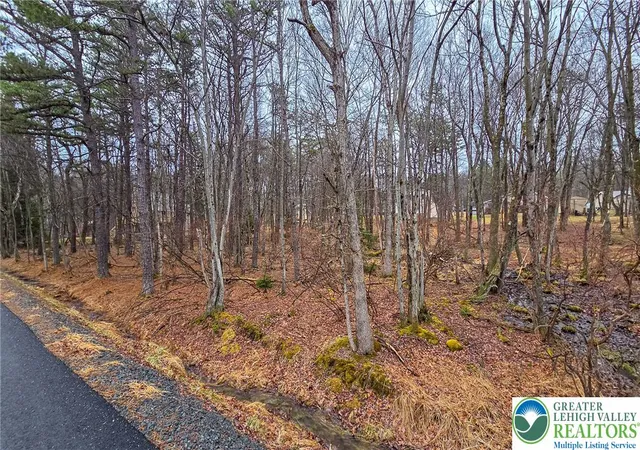 Photo 3 of Land for sale at Crescent Way #206, Albrightsville, PA 18210 | MLS# 784044 | Listing updated on 2026-09-05