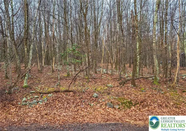 Photo 2 of Land for sale at Tunkhannock Dr #2105, Albrightsville, PA 18210 | MLS# 784048 | Listing updated on 2026-09-05