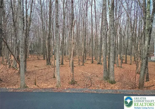 Photo 3 of Land for sale at Linden Dr #622, Albrightsville, PA 18210 | MLS# 784047 | Listing updated on 2026-09-05