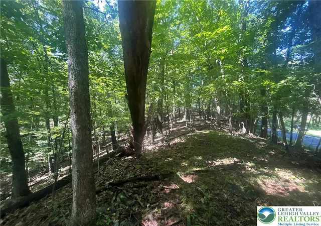 Photo 3 of Land for sale at T 508 Lots #15 And #16 Rd, East Stroudsburg, PA 18302 | MLS# 784402 | Listing updated on 2026-09-25