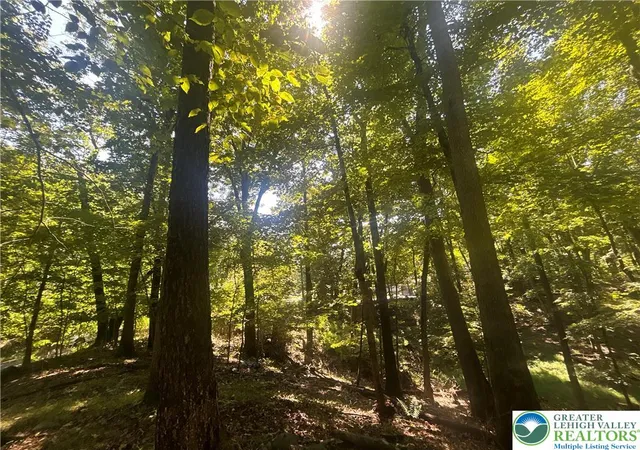 Photo 3 of Land for sale at T 508 Lots #15 And #16 Rd, East Stroudsburg, PA 18302 | MLS# 784402 | Listing updated on 2026-09-25