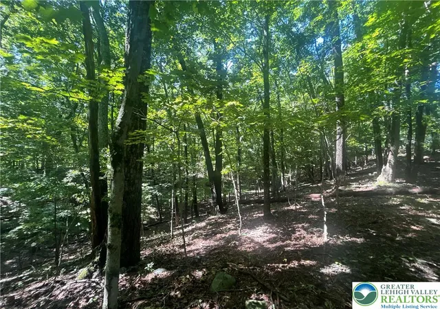 Photo 4 of Land for sale at T 508 Lots #15 And #16 Rd, East Stroudsburg, PA 18302 | MLS# 784402 | Listing updated on 2026-09-25