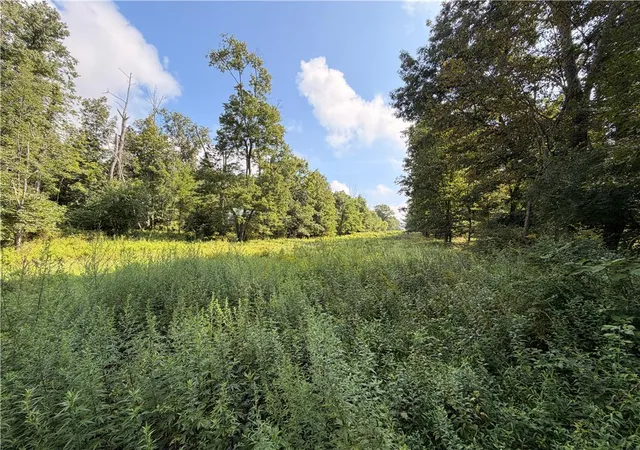 Photo 2 of Land for sale at 0 Upper Lakeview Dr, East Stroudsburg, PA 18302 | MLS# 784420 | Listing updated on 2026-09-12
