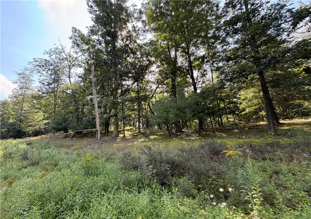 Photo 3 of Land for sale at 0 Upper Lakeview Dr, East Stroudsburg, PA 18302 | MLS# 784420 | Listing updated on 2026-09-12