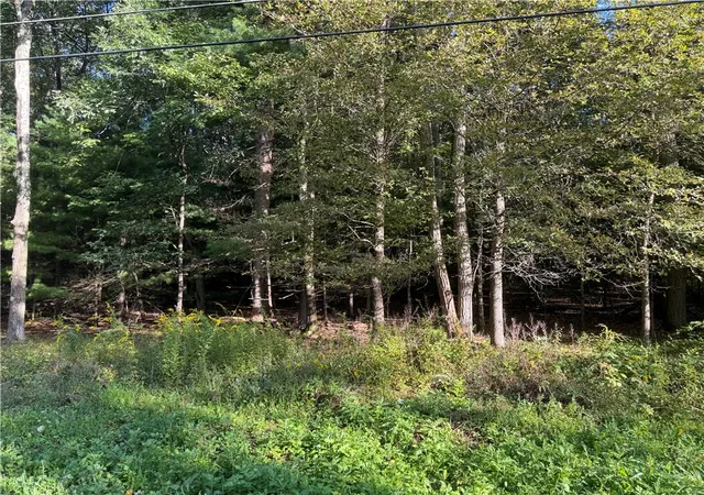 Photo 1 of Sale Pending at Vacant Lot Jefferson St, Franklin Twp, PA 18235 | MLS# 784450 | Listing updated on 2026-09-17