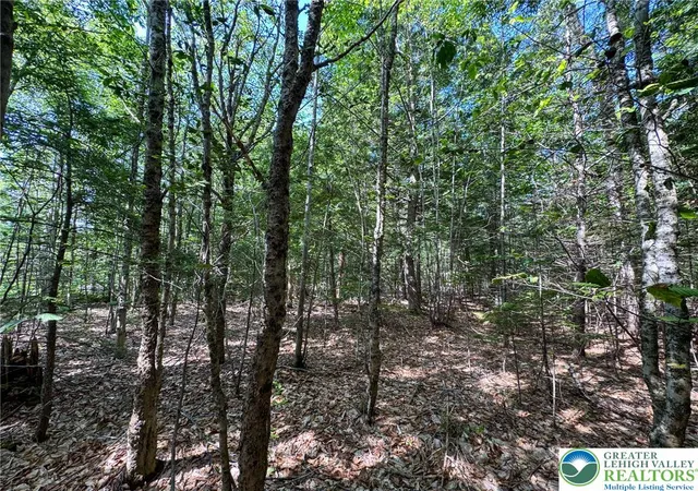 Photo 1 of Land for sale at 311 Woodland Rd & Deerfoot Ln, Penn Forest Twp, PA 18210 | MLS# 784177 | Listing updated on 2026-09-16