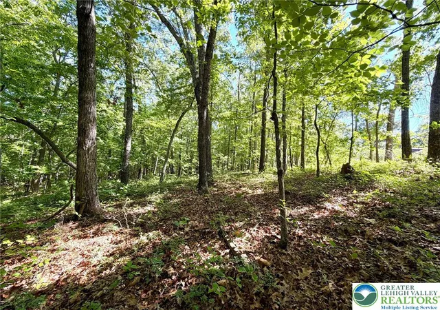 Photo 1 of Land for sale at 603 Sycamore Cir, Albrightsville, PA 18210 | MLS# 784174 | Listing updated on 2026-09-16