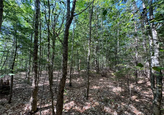 Photo 1 of Land for sale at 511 N Shore Dr & Linden, Penn Forest Twp, PA 18210 | MLS# 784172 | Listing updated on 2026-09-16