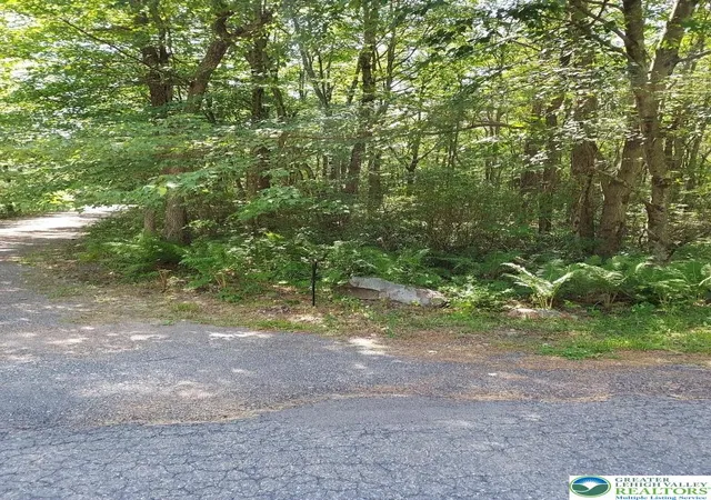 Land for sale at N Sycamore & Lauren Ln #B193 & B194, Penn Forest Twp, PA 18229 | MLS# 784782