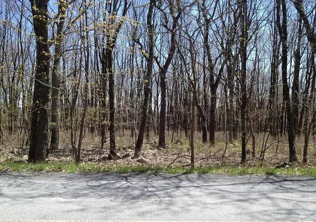 Photo 1 of Land for sale at Catskill Dr, Effort, PA 18330 | MLS# 785010 | Listing updated on 2026-09-23