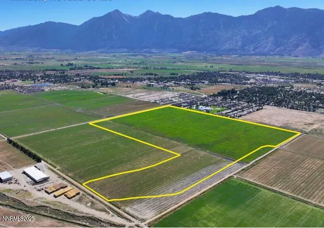 Land for sale at 1300 Buckeye Rd, Minden, NV 89423 | MLS# 260012505