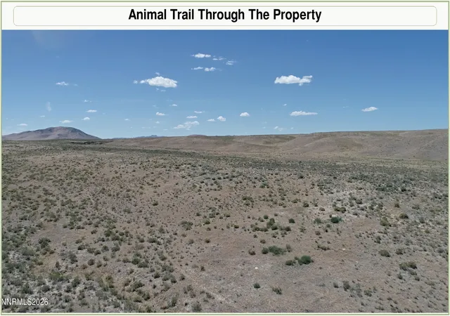 Photo 3 of Land for sale at 0 Charleston Deeth County Rd, Deeth, NV 89823 | MLS# 260011205 | Listing updated on 2026-09-10