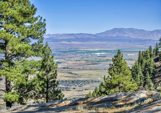 Land for sale at 2960 Jacks Valley Rd, Genoa, NV 89411 | MLS# 260011747