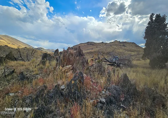 Photo 4 of Land for sale at 8601 Pinenut Crk Rd, Gardnerville, NV 89410 | MLS# 260013096 | Listing updated on 2026-10-14