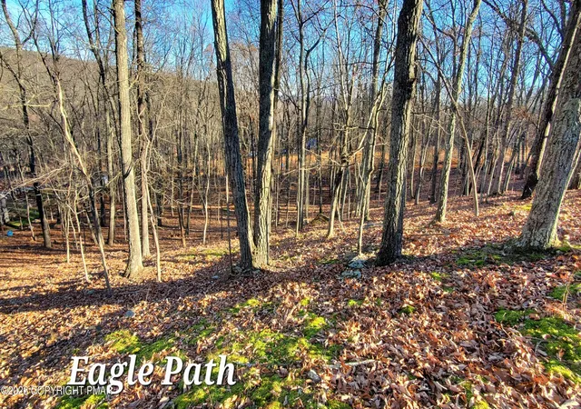 Photo 1 of Land for sale at 193 Lot Eagle Path, Bushkill, PA 18324 | MLS# PM-144369 | Listing updated on 2026-09-01