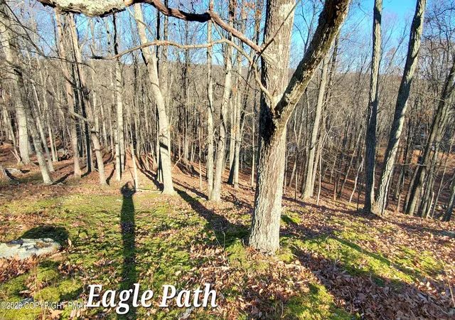 Photo 2 of Land for sale at 193 Lot Eagle Path, Bushkill, PA 18324 | MLS# PM-144369 | Listing updated on 2026-09-01