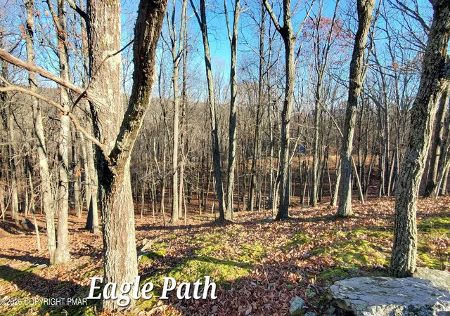 Photo 3 of Land for sale at 193 Lot Eagle Path, Bushkill, PA 18324 | MLS# PM-144369 | Listing updated on 2026-09-01