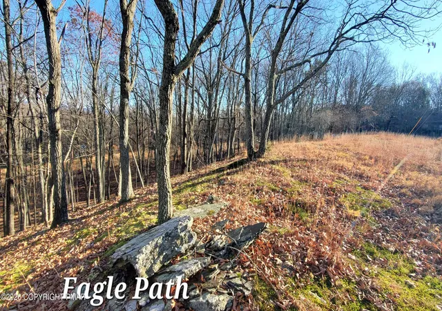 Photo 4 of Land for sale at 193 Lot Eagle Path, Bushkill, PA 18324 | MLS# PM-144369 | Listing updated on 2026-09-01