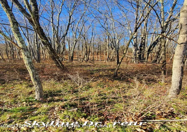 Photo 2 of Land for sale at 140a Skyline Dr, Bushkill, PA 18324 | MLS# PM-144374 | Listing updated on 2026-09-01