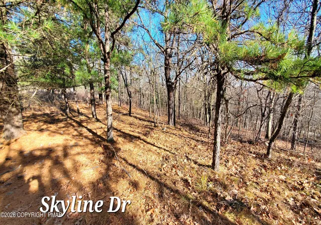 Photo 3 of Land for sale at 140a Skyline Dr, Bushkill, PA 18324 | MLS# PM-144374 | Listing updated on 2026-09-01
