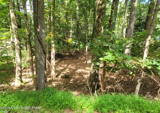 Photo 4 of Land for sale at Lot 316 Sherwood Forest Rd, Saylorsburg, PA 18353 | MLS# PM-144379 | Listing updated on 2026-10-06