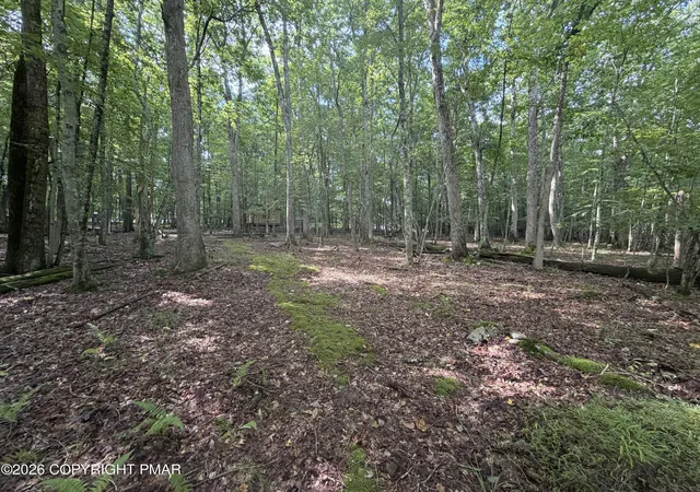Land for sale at Birch Dr 608, Cresco, PA 18326 | MLS# PM-144465