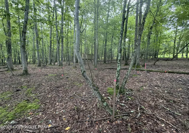 Photo 2 of Land for sale at Birch Dr 608, Cresco, PA 18326 | MLS# PM-144465 | Listing updated on 2026-09-03