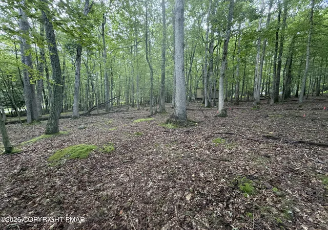 Photo 4 of Sale Pending at Birch Dr 608, Cresco, PA 18326 | MLS# PM-144465 | Listing updated on 2026-10-09