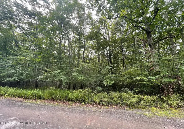 Photo 3 of Land for sale at A392 Aspen Dr, Jim Thorpe, PA 18229 | MLS# PM-144616 | Listing updated on 2026-09-10